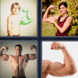 4 Fotos 1 Palabra Biceps