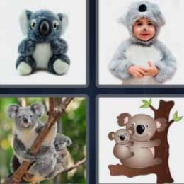 4 Fotos 1 Palabra Koala