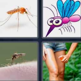 4 Fotos 1 Palabra Mosquito